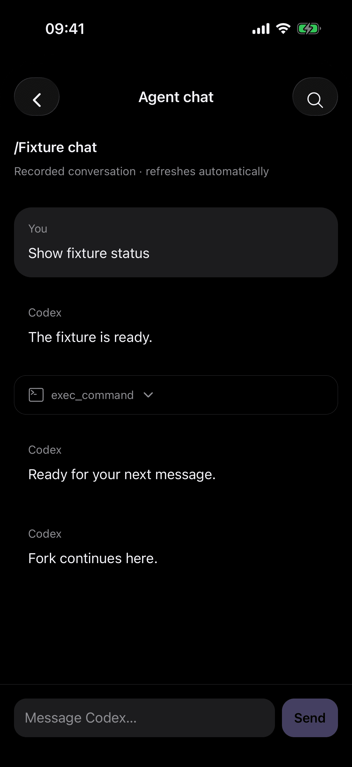 Termcat agent chat showing a labeled Codex fixture conversation and a message composer.